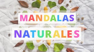 MANDALAS con ELEMENTOS de la NATURALEZA ► Arteterapia 🍀 [upl. by Bohun576]