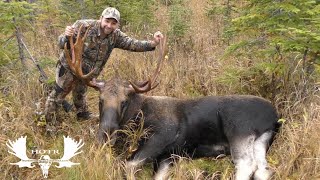 Nicks Newfoundland Moose Hunt [upl. by Newhall]