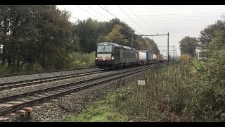 Intermodal Train 🚂 at Blerick the Netherlands 🇳🇱 November 102024 [upl. by Wolford884]