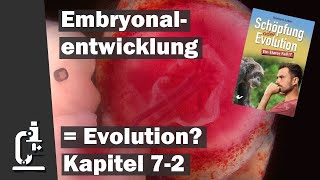 Evolution in der Embryonalentwicklung Schöpfung oder Evolution 72 [upl. by Gennaro519]