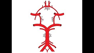 USMLE Step 2 CK Plus  Chapter 2 Neurology  Lacunar Stroke Syndromes [upl. by Jordanson]