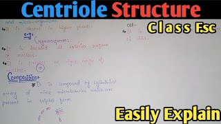 Centriole Structure Functions And Composition  Class 11 Biology [upl. by Sinnek]