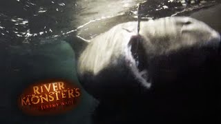 Jeremy Handles a Monstrous Greenland Shark  SHARK  River Monsters [upl. by Karas885]