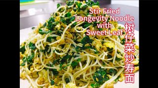 树仔菜炒寿面 stir fried longevity noodle with sweet leaf 美食 recipe resepi 食谱 古早味 saffron2812 [upl. by Nylkoorb205]