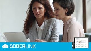 Soberlink Family Law Programs Level 1 vs Level 2 [upl. by Adniled379]