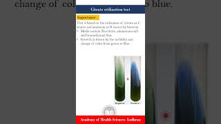 Citrate utilization test Biochemical tests  Microbiology  by ImranY aseen [upl. by Pedrick]