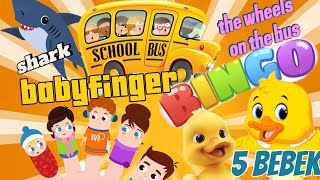 Lagu anak baby shark baby finger thr wheels on the bus 5 bebek berenang lagu anak favorit [upl. by Earised]