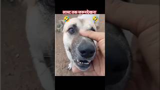 dog funny reels video 🤫Tamil funny video status 😊 trending reel video😊 status comedy🤪 [upl. by Melany765]