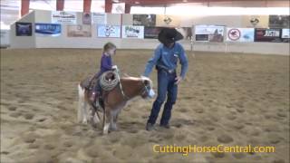 Andrew Coates teaches his kids to work their miniature pony Frankie Blue Eyes [upl. by Ahsille]