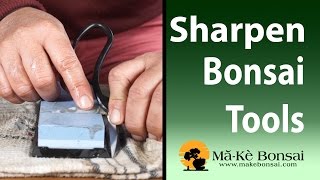 90 Bonsai Tools for Beginners The Sharpening Guide [upl. by Romalda]