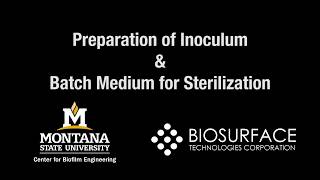 Chapter 11 Preparation of inoculum and batch media [upl. by Dobrinsky184]