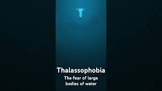 Thalassophobia [upl. by Yhtimit]