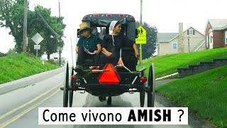 Come vivono gli AMISH in Pennsylvania polskie napisy VIVERE IN AMERICA VLOG 65  italianamppolish [upl. by Penoyer]