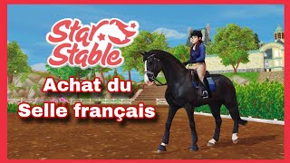 StarStable  Achat du SELLE FRANCAIS [upl. by Irrabaj]