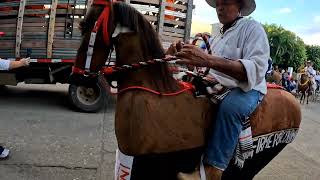 cabalgata 2024 Octubre [upl. by Atirat]