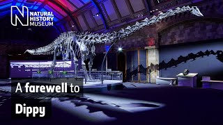 A farewell to Dippy the dinosaur  Natural History Museum [upl. by Naylor809]