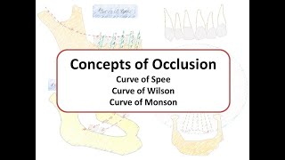 Concepts of Occlusion Curve of Spee Wilson amp Monson [upl. by Korry125]