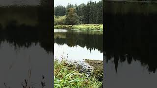 River Boyne Navan Ireland nature naturelovers hike travel [upl. by Damien7]