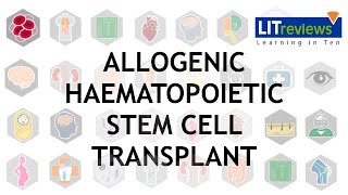 Allogeneic Haematopoietic Stem Cell Transplant [upl. by Nisay]