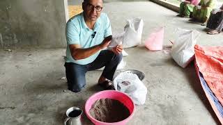 कोशेबालीमा राईजोबियम ब्याक्टेरियायुक्त मल Rhizobium inoculum fertilizer को प्रयोग र उपयोगिता । [upl. by Llyrad]