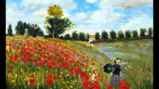 Poppy Fields  Coldplay [upl. by Hamachi]