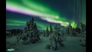 Northern Lights Livestream  Fairbanks Alaska  10292022 [upl. by Kin]