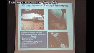 SSA 2016  Microbiologia de Lodos Ativados 2 de 2 [upl. by Nee59]