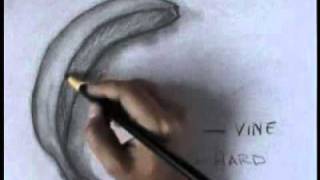 Charcoal Drawings  Learn to draw with charcoal [upl. by Gayl]