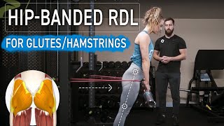 Banded Barbell Romanian Deadlift RDL  Proper Technique for Targeting Glutes [upl. by Terrene]