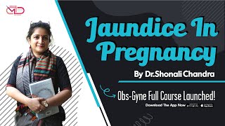 Jaundice in Pregnancy  Differential Diagnosis  Dr Shonali Chandra [upl. by Aitnis]