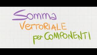 Somma vettoriale per componenti [upl. by Zaragoza]