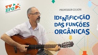 Aula de Química Identificação das Funções Orgânicas  Prof Gilson  Escola do Sebrae [upl. by Rosalynd966]