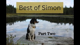 Best of Simon  Part Two [upl. by Elnora]