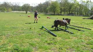 Spring Cavaletti Training hier an Doppellonge [upl. by Ynafets]