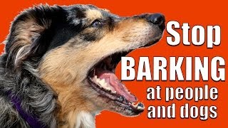 How to TEACH ANY DOG NOT to BARK at Other DOGS and PEOPLE on a Walk [upl. by Rabaj206]