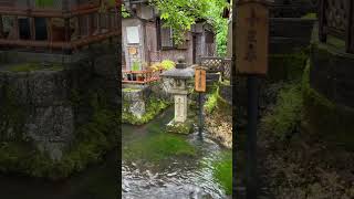 Waterside in Japan Shiga shorts japan aesthetic nature japantravel [upl. by Stonwin]