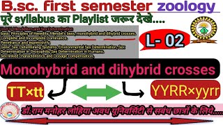 Monohybrid cross and Dihybrid cross  Bsc first semester zoology [upl. by Salocin887]