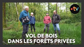 Vol de bois dans les forêts privées en Meuse [upl. by Eniagrom]