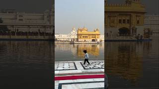 Shukrana Waheguru 🙌🏻🧿🙏🏻♥️ wahegurumeharkare goldentemple satnamwaheguru [upl. by Nospmas]