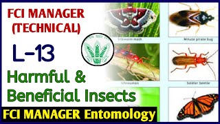 Beneficial and Harmful Insects L13 Entomology FCI Manager Technical  FCI Manager [upl. by Ymaral]