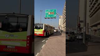 Cornish Road Deira Dubai Creek ilovedubaidosti visitdubai travel shorts [upl. by Enyaj]