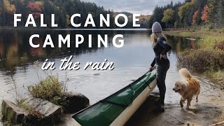 Fall Canoe Camping in the Rain Algonquin Park [upl. by Redd]