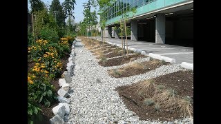 Innovative Stormwater Management at the Property Scale [upl. by Cathrin]