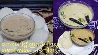 soft idli and 2 types of chutneys  പഞ്ഞി പോലുള്ള ഇഡ്ലിയും രുചികരമായ 2 തരം ചട്ണികളും [upl. by Regdor582]