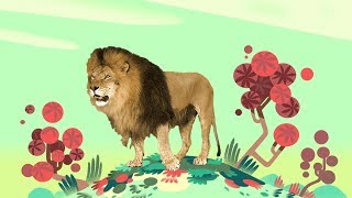 Animal Songs quotYou Gotta Love a Lionquot by StoryBots  Netflix Jr [upl. by Drauode]