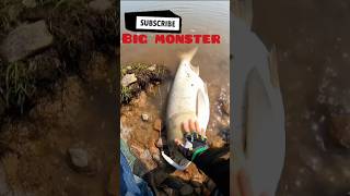 The River Monster Fish Ended fishing catchingfish hunting fish fishingtips alifishhunter [upl. by Jeremiah]