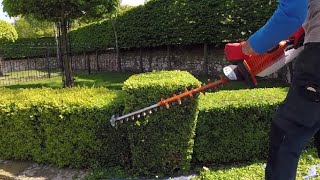 Hedge Trimming small Box  Buxus hedge [upl. by Arinaid]