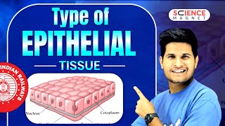 Type of epithelial tissue sciencebyneerajjangid neerajsir [upl. by Eronel]