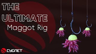 How To Tie A Maggot Rig For Carp  Wafter Maggot Rigs  Winter Carp Fishing [upl. by Sateia]