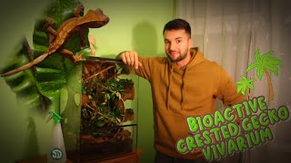 BIOACTIVE VIVARIUM built for my CRESTED GECKO step by step [upl. by Eiramasil]